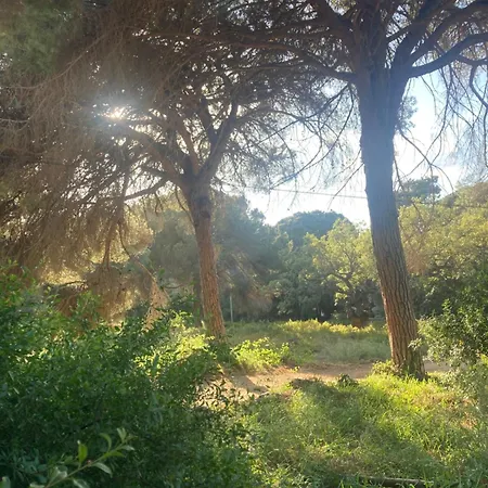 El Apartamento De Paz Marbella